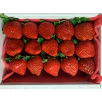 本產大湖草莓  2盒入